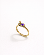 Anello Astronauta
