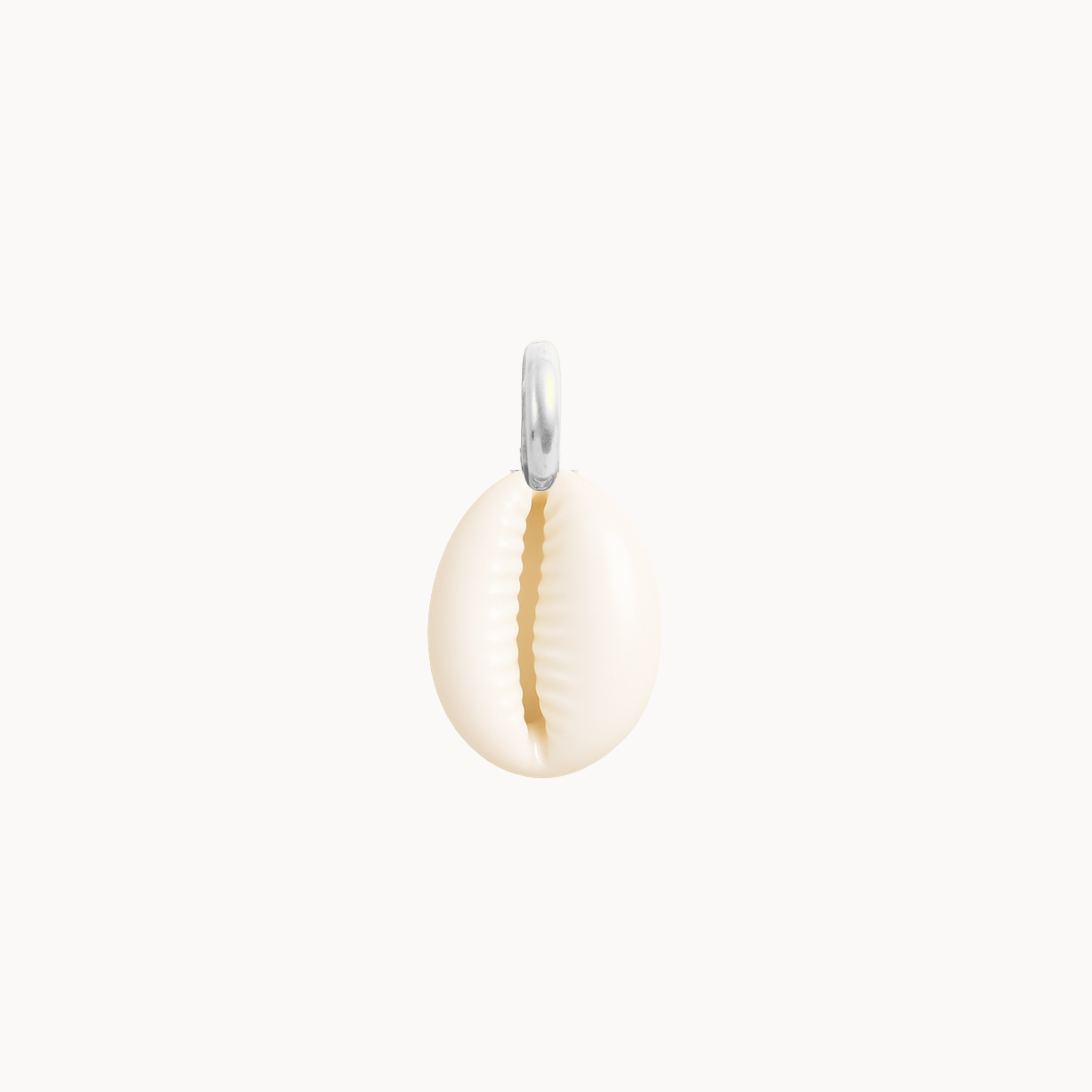 CONCHIGLIA