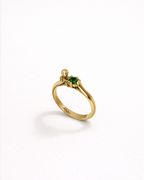 Anello Astronauta