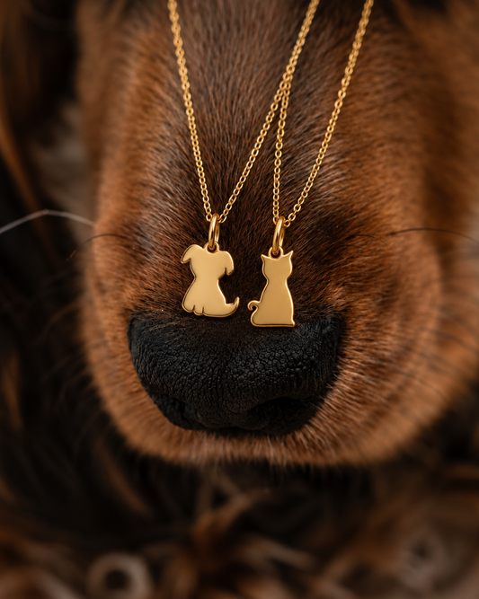Collana cane e gatto personalizzabile