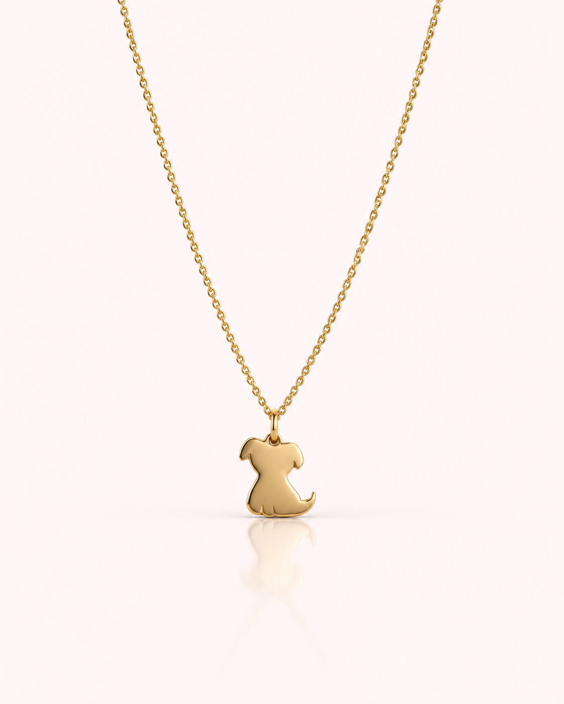 Collana cane e gatto personalizzabile